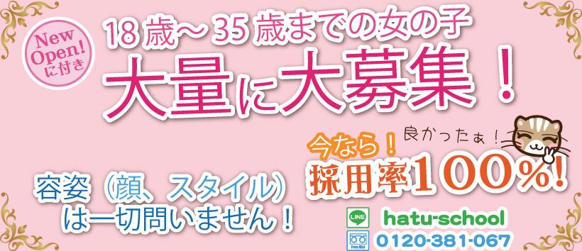 ぷちプラガールズの求人