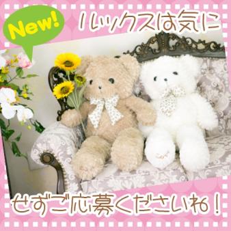 新規オープンに付き女の子を大募集中!