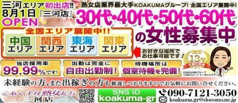 こあくまな熟女たち 三河店(KOAKUMAグループ)の求人