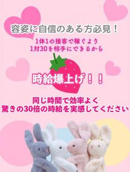 容姿に自信がある方稼げます
