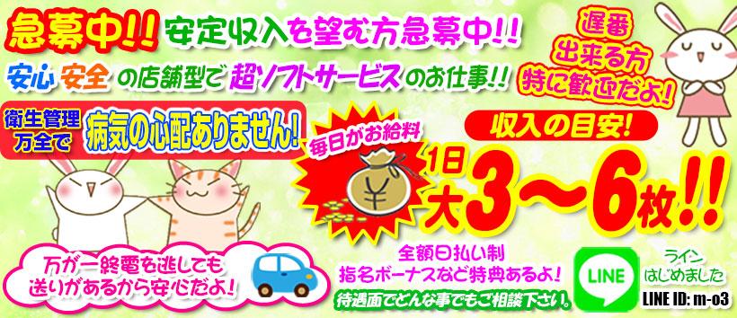 O3パートⅡ(おーすりーぱーとつー)の求人