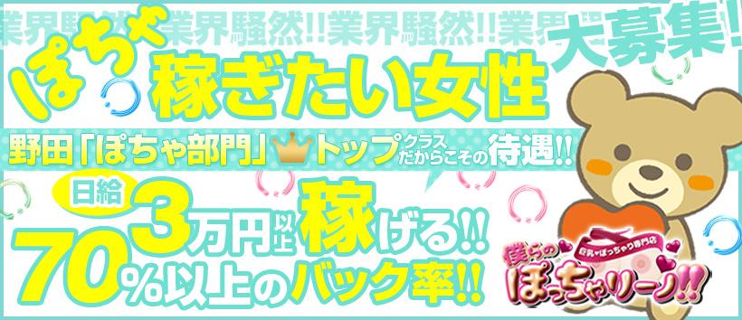 僕らのぽっちゃリーノin野田の求人