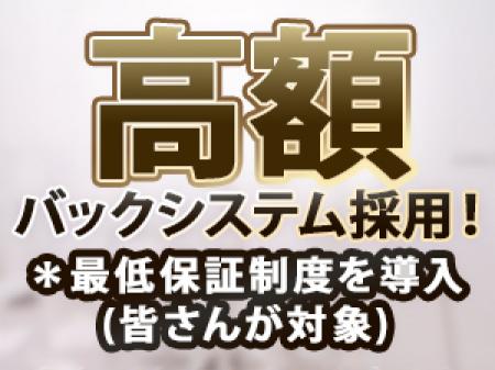 新システムで、高収入をお約束!