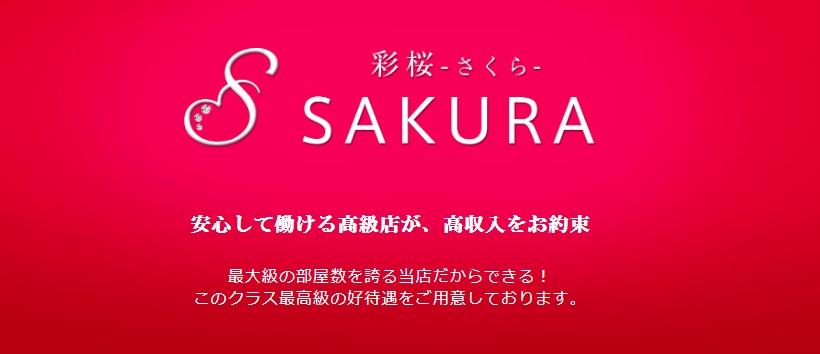彩桜(さくら)