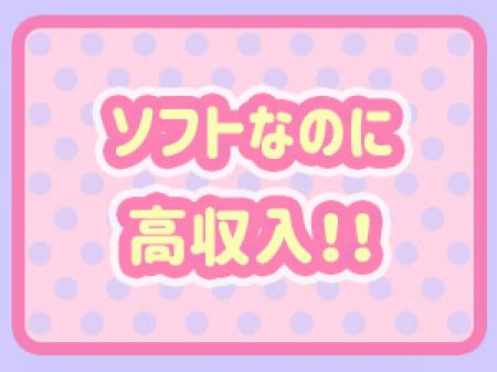 ソフトプレイなのに高収入!!