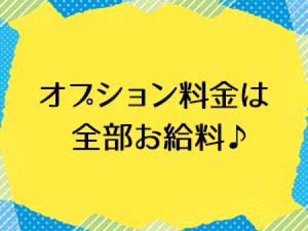 高額設定のオプション料金
