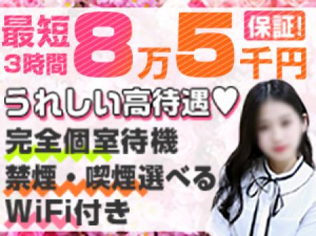 見るで3時間8万5千円保証!