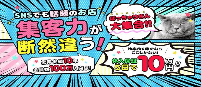 新宿本店 ぽちゃカワ女子専門店