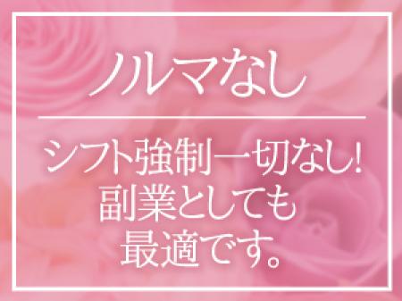 好きな時に働けるかた副業としても最適♪