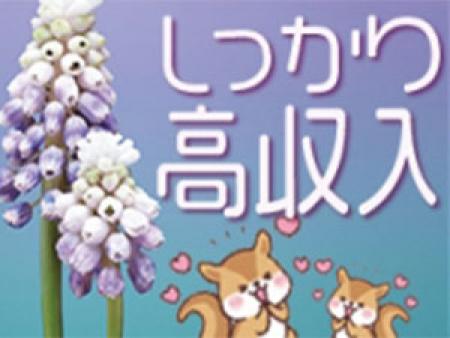 しっかり高収入!