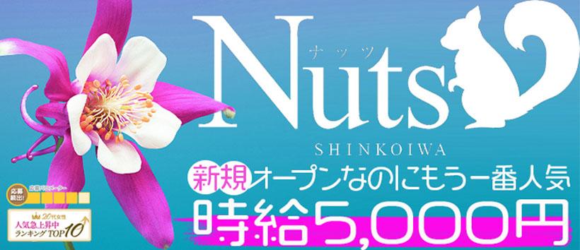 NUTSの求人