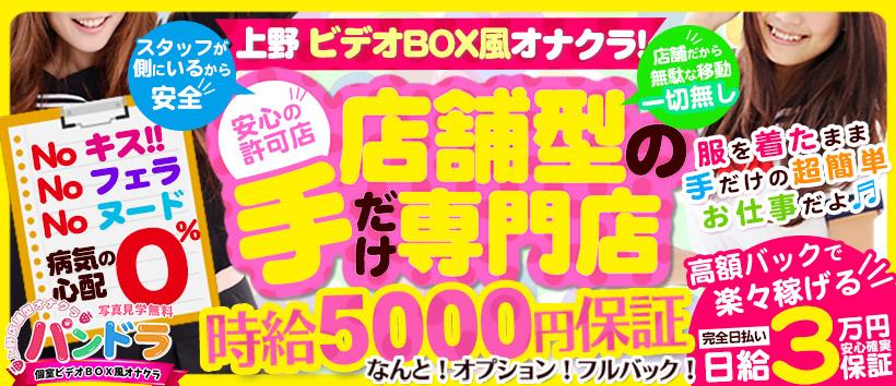 パンドラの求人