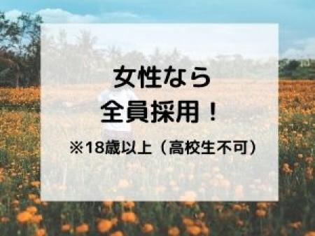 未経験も歓迎♪