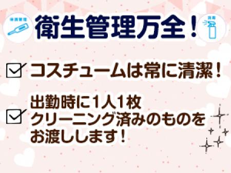 可愛いコスチュームはいつも綺麗な状態です!