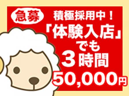 体験入店3時間50000円!