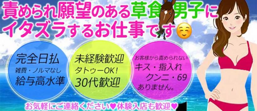 小悪魔な誘惑痴女の求人