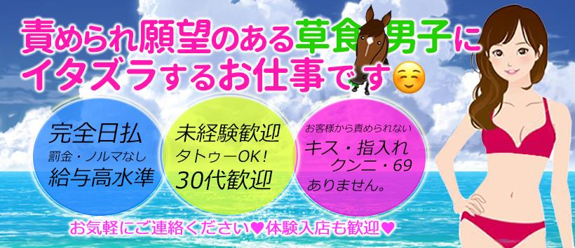 小悪魔な誘惑痴女