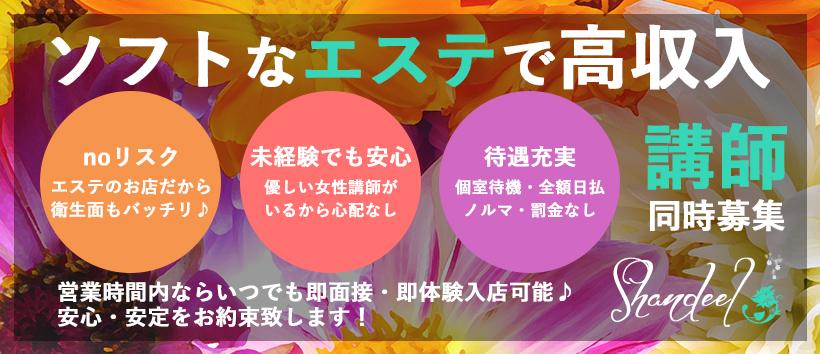 シャンディールの求人