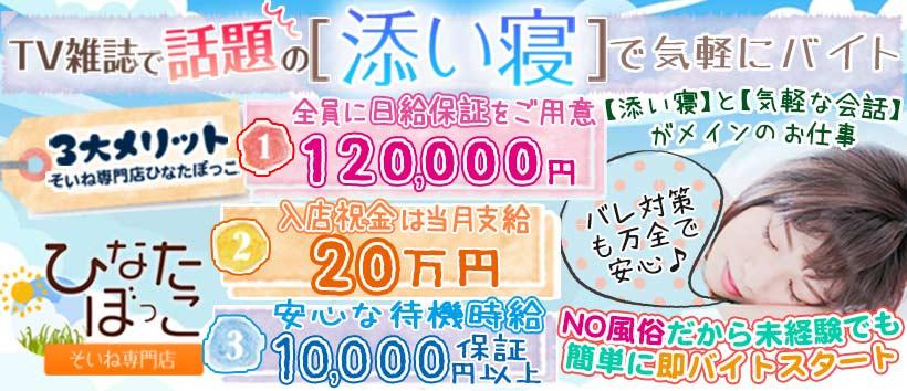 そいね専門店ひなたぼっこの求人