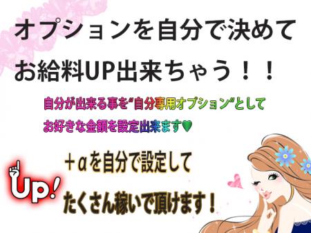 自分で決められるオプションバック♪