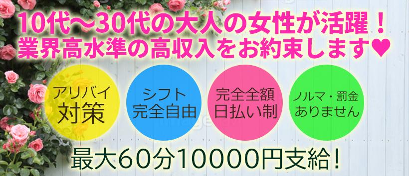 ダイアナの求人