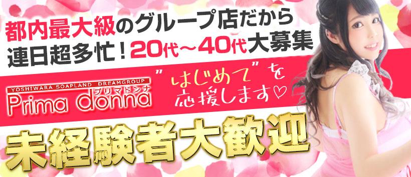 プリマドンナの求人