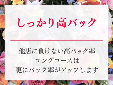 しっかり高バック
