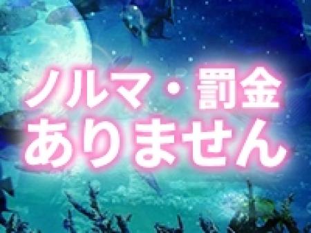 ノルマ・罰金はありません。