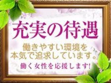 充実の待遇