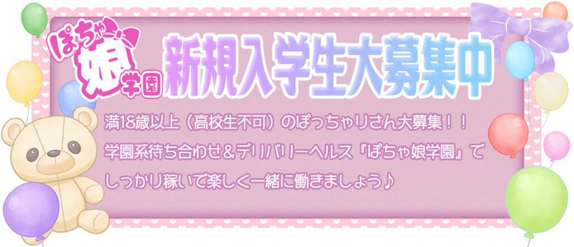 ぽちゃ娘学園の求人