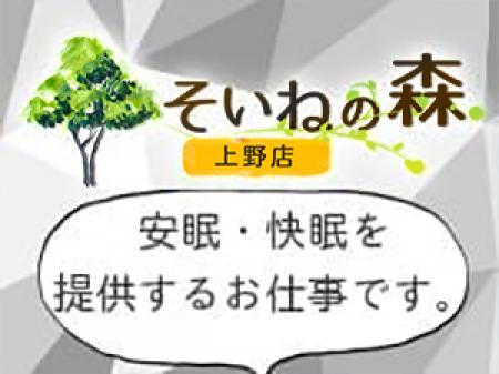 安眠・快眠を提供するお仕事内容です。