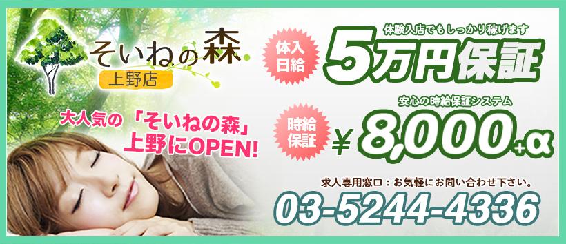 そいねの森の求人