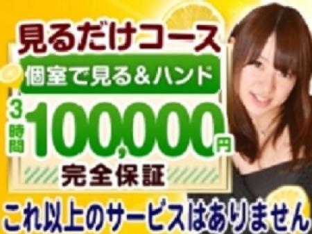 見るだけコース