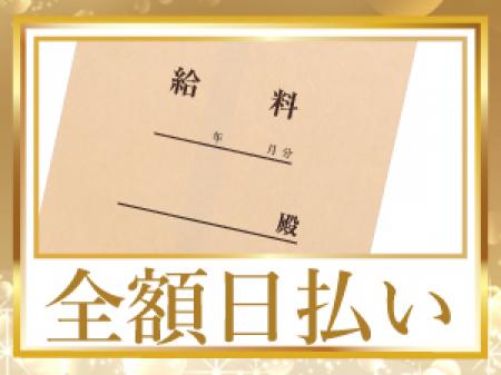完全日払い制