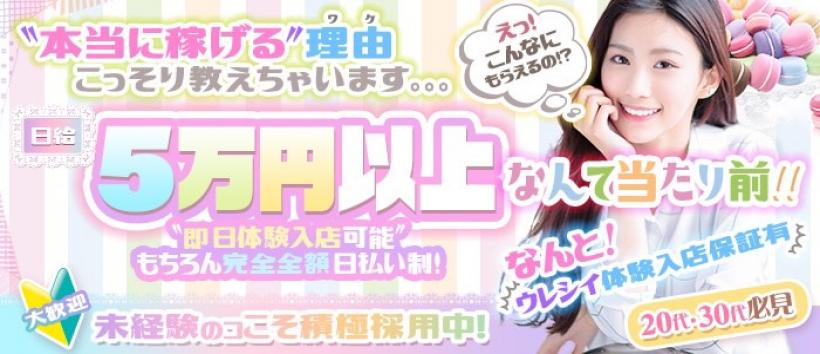 激安!奥様特急 つくば・研究学園最安!の求人