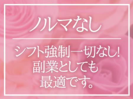 好きな時に働けるかた副業としても最適♪