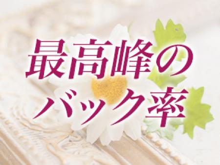 最高峰の報酬と各種ボーナスをご用意