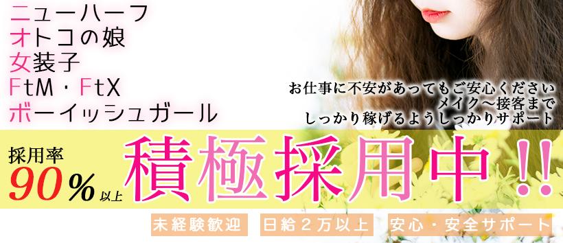 蜜蜂の求人
