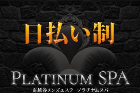完全日払い制