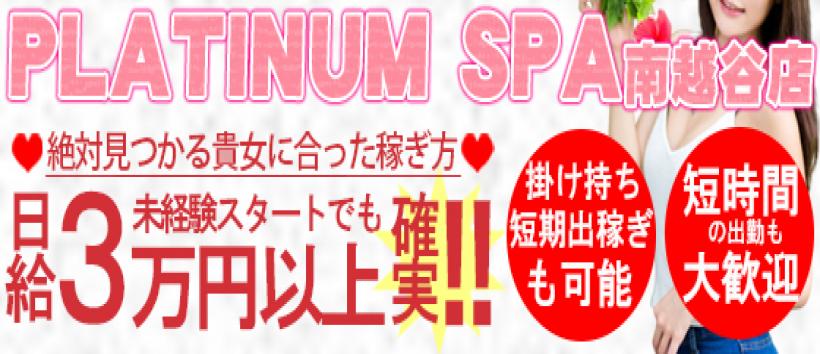 Platinum SPA
