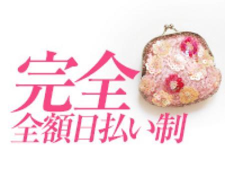 完全日払い制