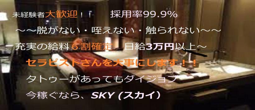 SKYの求人