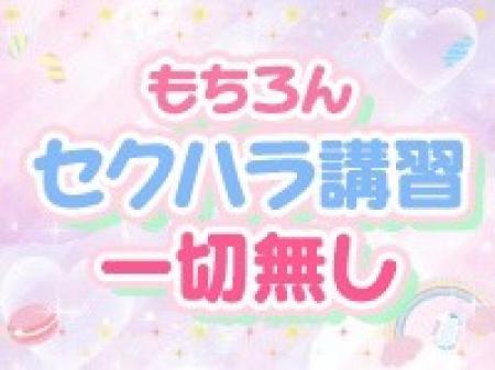 セクハラ致しません