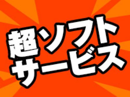 超ソフトサービスなのに稼げます!