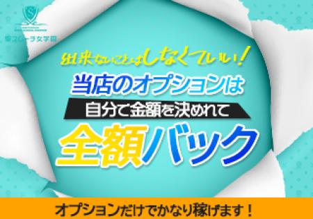 オプション料金は全額バック