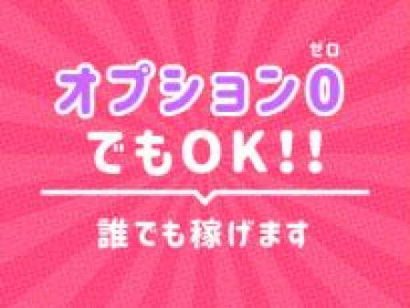 オプションが少なくても0でもOK♪