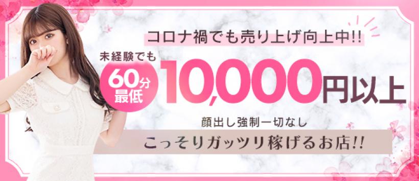 ワカコレの求人