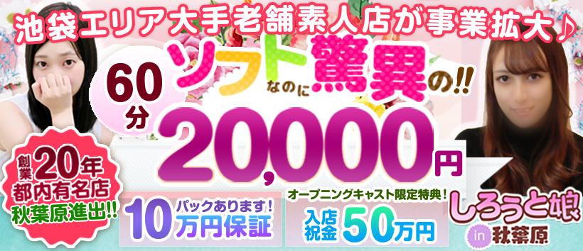 しろうと娘in秋葉原