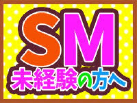 SM未経験の方へ
