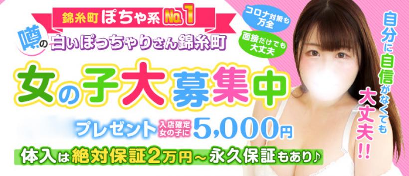 白いぽっちゃりさん錦糸町の求人